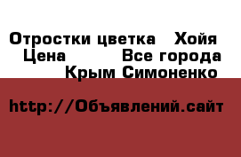 Отростки цветка  “Хойя“ › Цена ­ 300 - Все города  »    . Крым,Симоненко